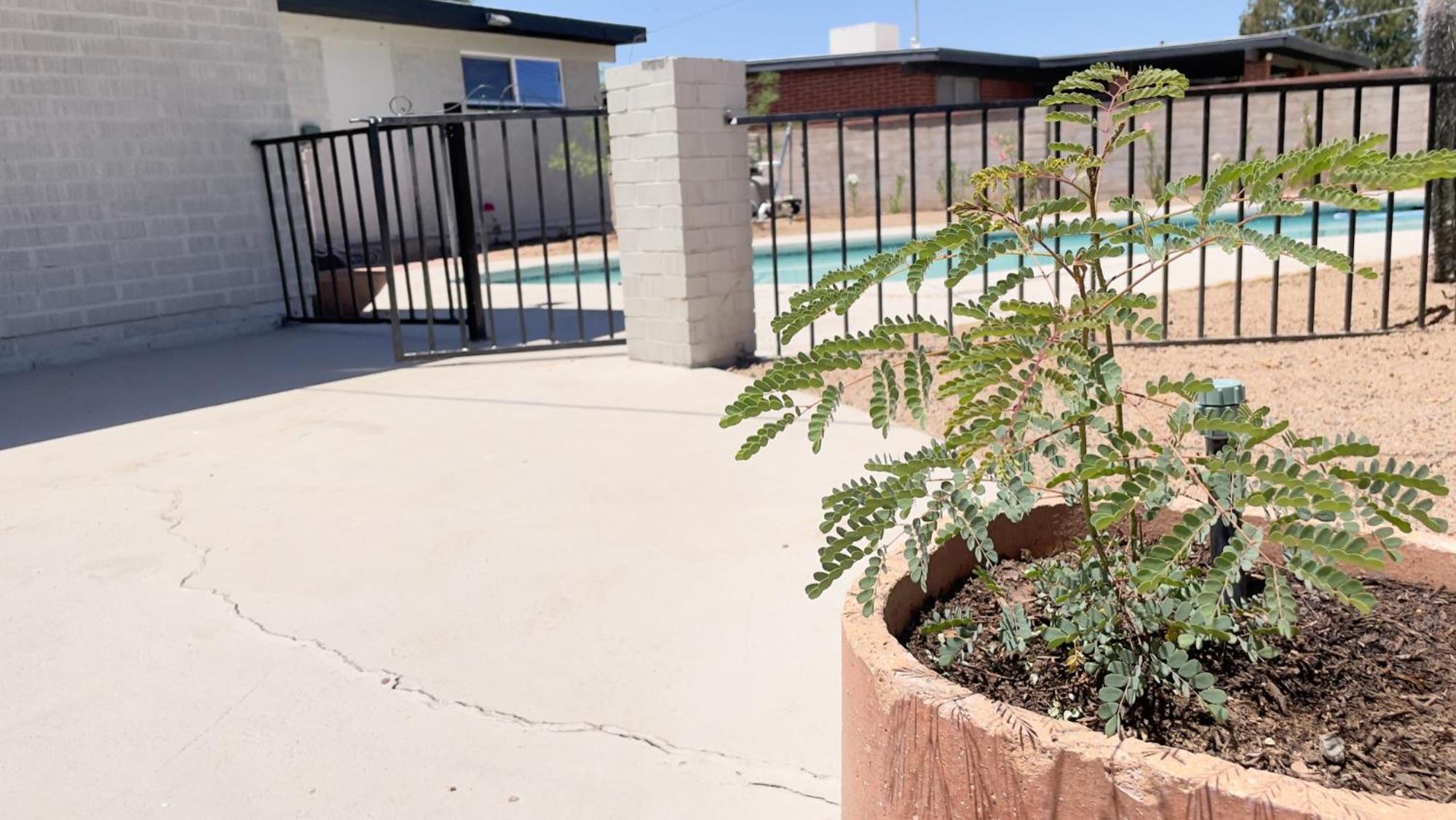 Private Home - Heated Pool, Billiards, Darts, Foosball, Fireplace, 5 Smart Tvs, Bbq, Cotton Bedding - The Saguaro Sanctuary, Pool Heat Optional Tucson Esterno foto